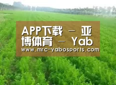 种植基地四