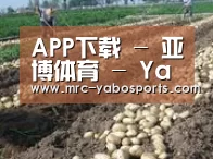 种植基地七(图1)