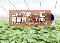 种植基地三
