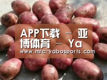 产品展示标题5(图1)