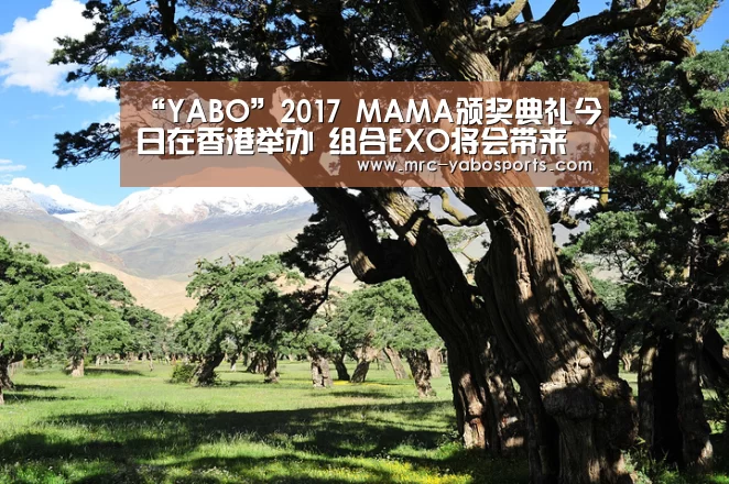 “YABO”2017 MAMA颁奖典礼今日在香港举办 组合EXO将会带来精彩的高科技舞台(图2) “YABO”2017 MAMA颁奖典礼今日在香港举办 组合EXO将会带来精彩的高科技舞台(图2)